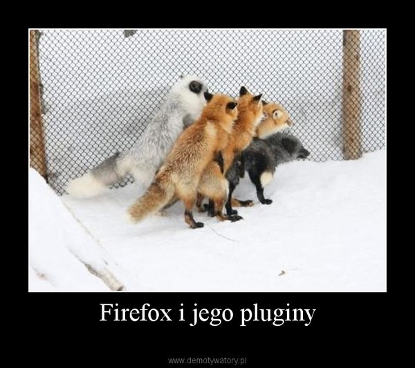 Firefox i jego pluginy –  