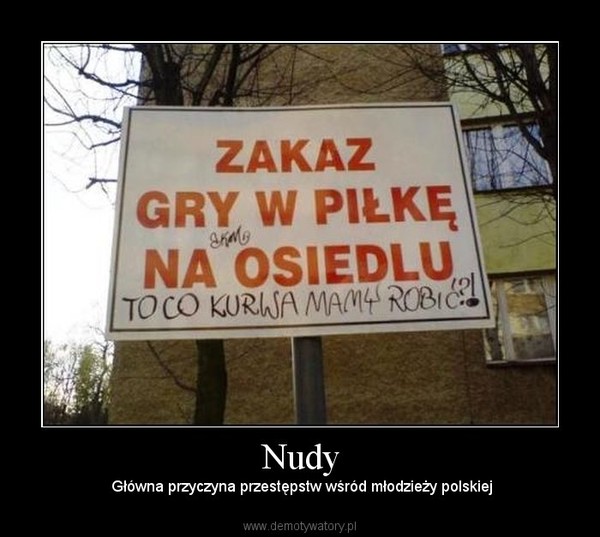 Nudy –  Główna przyczyna przestępstw wśród młodzieży polskiej 