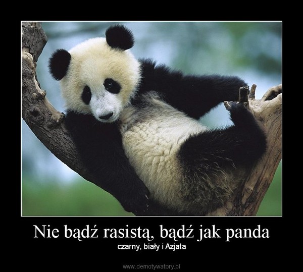 Nie bądź rasistą, bądź jak panda – czarny, biały i Azjata 