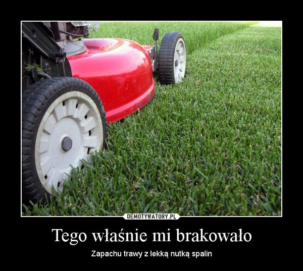 Tego właśnie mi brakowało – Zapachu trawy z lekką nutką spalin 