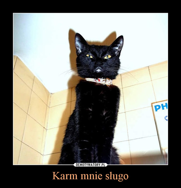 Karm mnie sługo –  