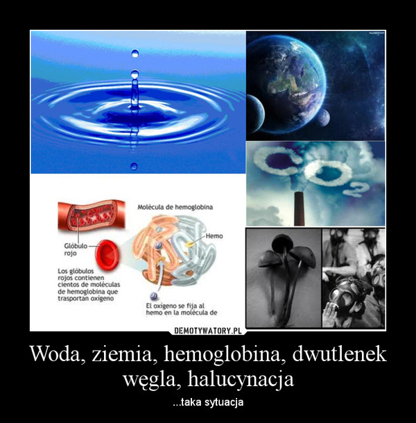 Woda, ziemia, hemoglobina, dwutlenek węgla, halucynacja – ...taka sytuacja 