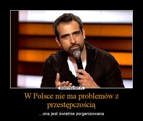 W Polsce nie ma problemów z przestępczością
