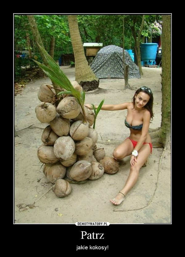 Patrz – jakie kokosy! 