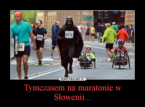 Tymczasem na maratonie w Słowenii... –  