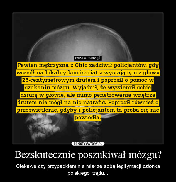 Bezskutecznie poszukiwał mózgu? – Ciekawe czy przypadkiem nie miał ze sobą legitymacji członka polskiego rządu... 