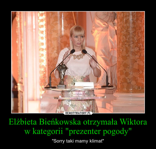 Elżbieta Bieńkowska otrzymała Wiktora w kategorii "prezenter pogody"