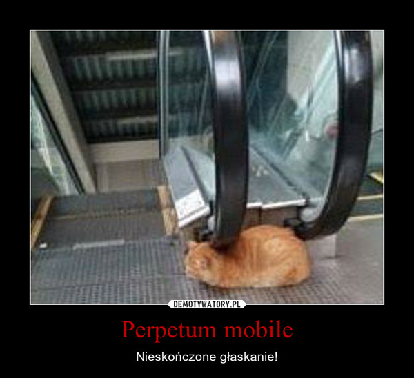 Perpetum mobile – Nieskończone głaskanie! 