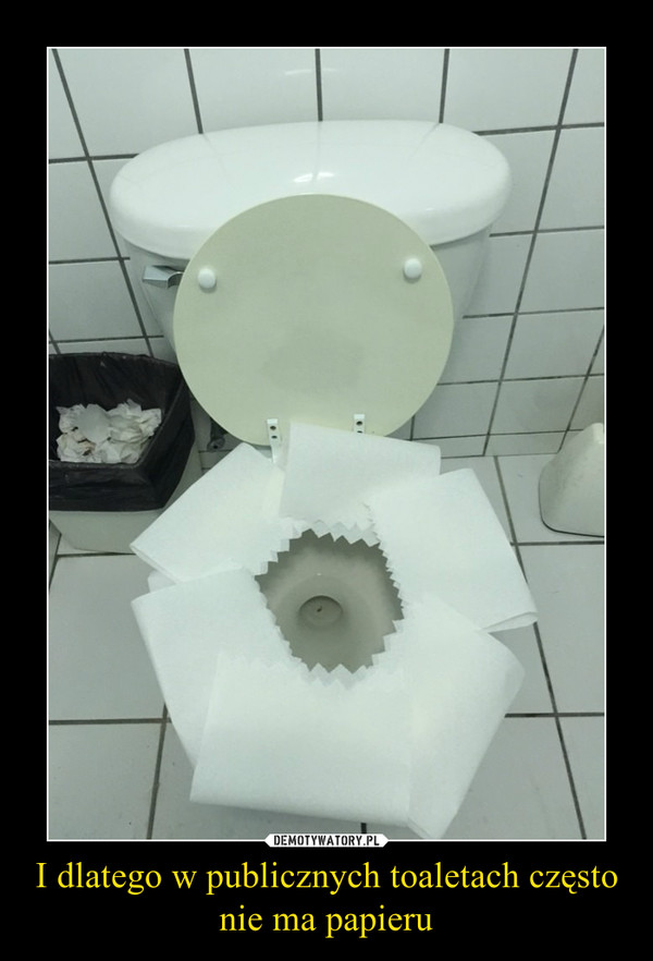 I dlatego w publicznych toaletach często nie ma papieru