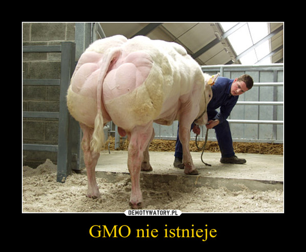 GMO nie istnieje –  