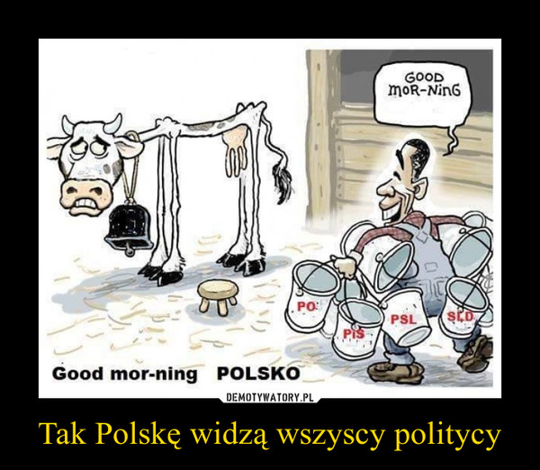 Tak Polskę widzą wszyscy politycy –  