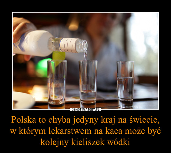 Polska to chyba jedyny kraj na świecie, w którym lekarstwem na kaca może być kolejny kieliszek wódki