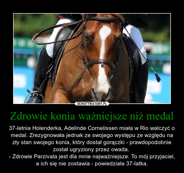 Zdrowie konia ważniejsze niż medal