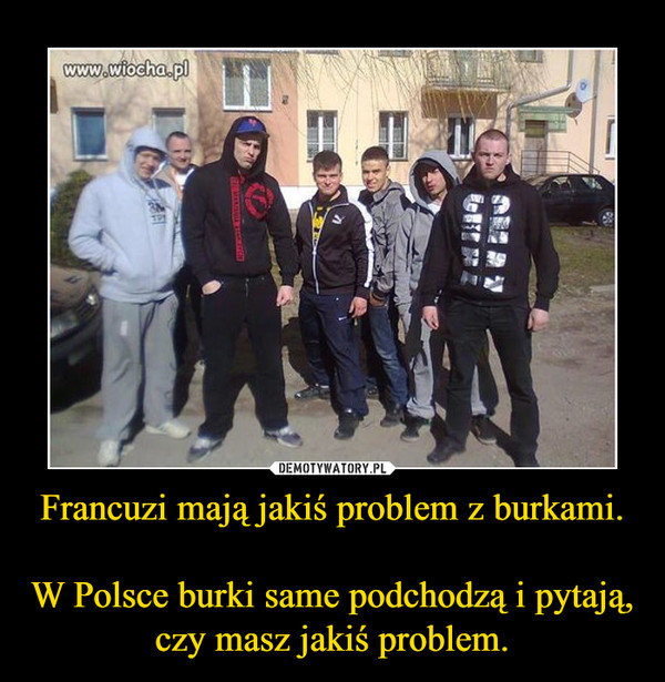 Francuzi mają jakiś problem z burkami.W Polsce burki same podchodzą i pytają, czy masz jakiś problem. –  