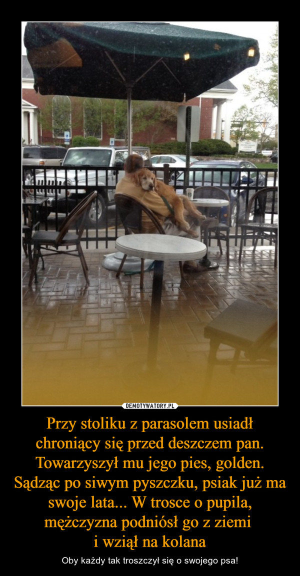 Przy stoliku z parasolem usiadł chroniący się przed deszczem pan. Towarzyszył mu jego pies, golden. Sądząc po siwym pyszczku, psiak już ma swoje lata... W trosce o pupila, mężczyzna podniósł go z ziemi i wziął na kolana – Oby każdy tak troszczył się o swojego psa! 