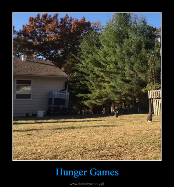 Hunger Games –  