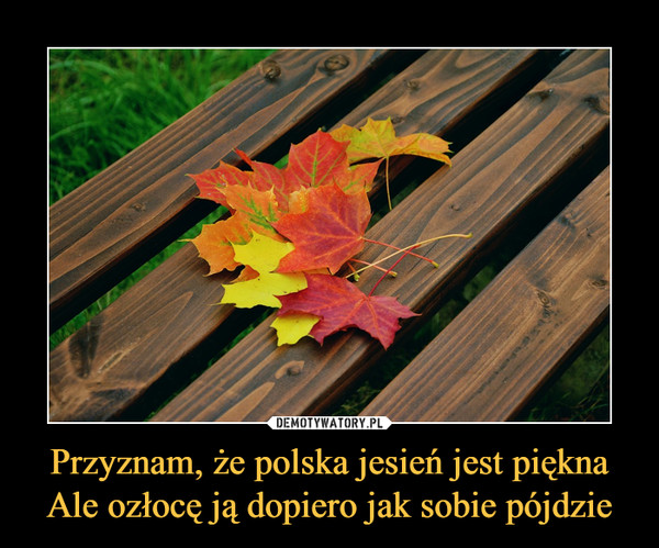 Przyznam, że polska jesień jest pięknaAle ozłocę ją dopiero jak sobie pójdzie –  