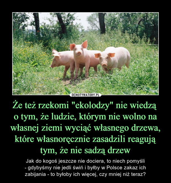 Że też rzekomi "ekolodzy" nie wiedzą o tym, że ludzie, którym nie wolno na własnej ziemi wyciąć własnego drzewa, które własnoręcznie zasadzili reagują tym, że nie sadzą drzew – Jak do kogoś jeszcze nie dociera, to niech pomyśli - gdybyśmy nie jedli świń i byłby w Polsce zakaz ich zabijania - to byłoby ich więcej, czy mniej niż teraz? 