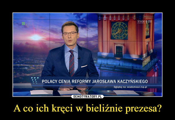 A co ich kręci w bieliźnie prezesa? –  polacy cenią reformy jarosława kaczyńskiego