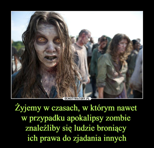 Żyjemy w czasach, w którym nawet w przypadku apokalipsy zombie znaleźliby się ludzie broniący ich prawa do zjadania innych –  