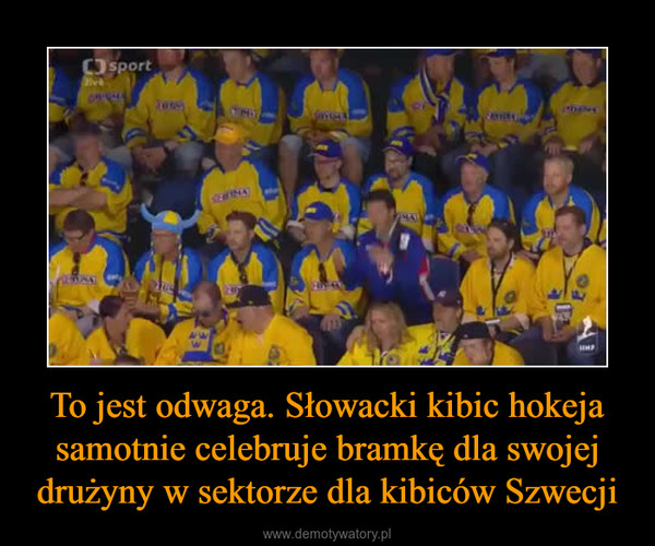 To jest odwaga. Słowacki kibic hokeja samotnie celebruje bramkę dla swojej drużyny w sektorze dla kibiców Szwecji –  