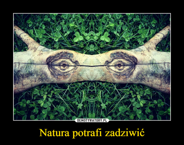 Natura potrafi zadziwić –  