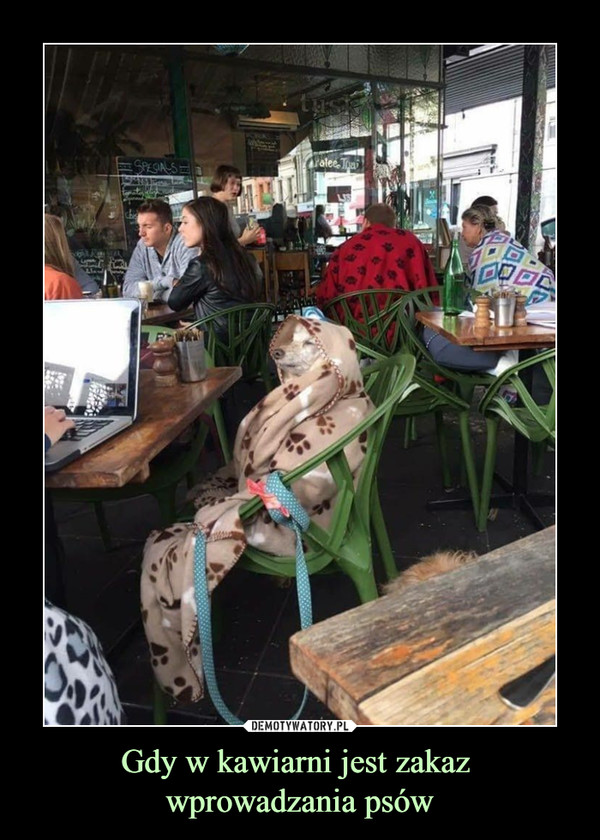 Gdy w kawiarni jest zakaz wprowadzania psów –  