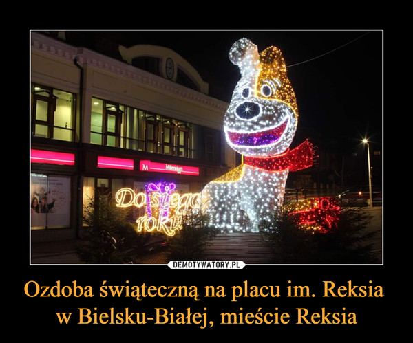 Ozdoba świąteczną na placu im. Reksia  w Bielsku-Białej, mieście Reksia –  