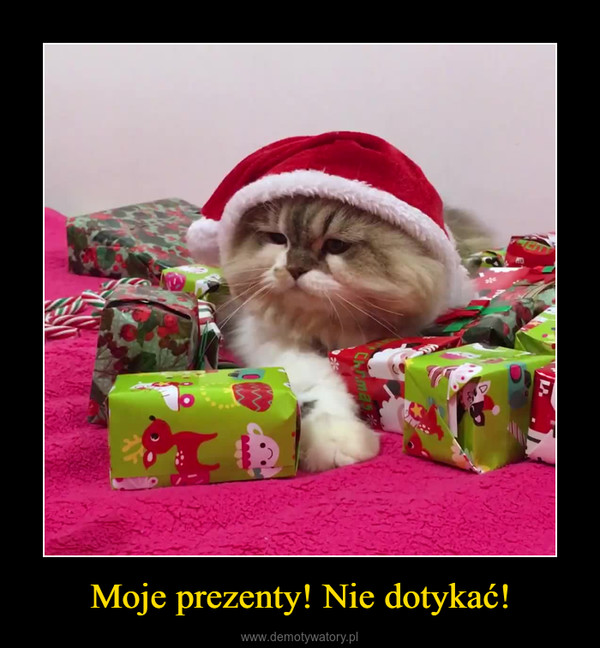 Moje prezenty! Nie dotykać! –  