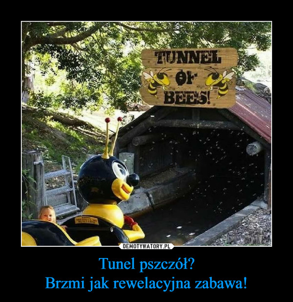 Tunel pszczół?Brzmi jak rewelacyjna zabawa! –  