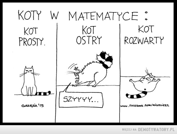 Koty w matematyce