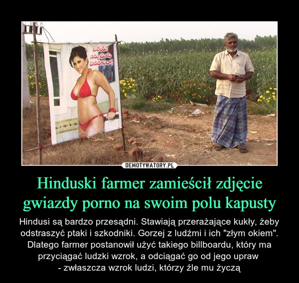 Hinduski farmer zamieścił zdjęcie gwiazdy porno na swoim polu kapusty – Hindusi są bardzo przesądni. Stawiają przerażające kukły, żeby odstraszyć ptaki i szkodniki. Gorzej z ludźmi i ich "złym okiem". Dlatego farmer postanowił użyć takiego billboardu, który ma przyciągać ludzki wzrok, a odciągać go od jego upraw - zwłaszcza wzrok ludzi, którzy źle mu życzą 