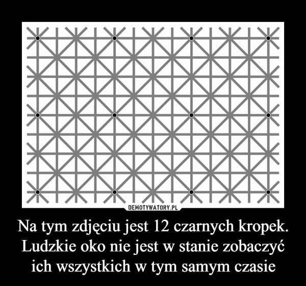 Na tym zdjęciu jest 12 czarnych kropek. Ludzkie oko nie jest w stanie zobaczyć ich wszystkich w tym samym czasie –  