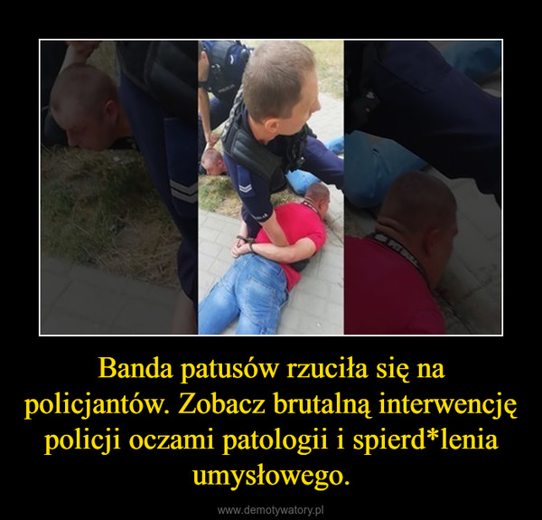 Banda patusów rzuciła się na policjantów. Zobacz brutalną interwencję policji oczami patologii i spierd*lenia umysłowego. –  