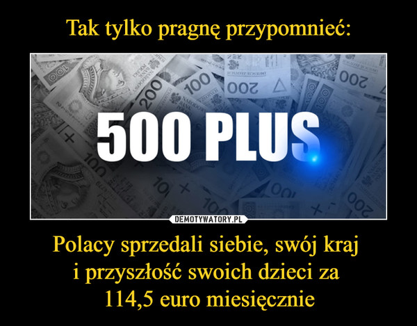 Polacy sprzedali siebie, swój kraj i przyszłość swoich dzieci za 114,5 euro miesięcznie –  