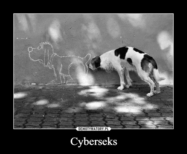 Cyberseks –  