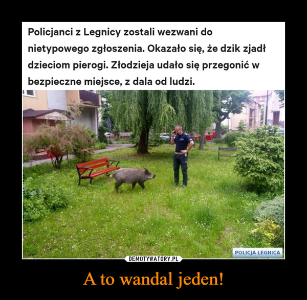 A to wandal jeden!