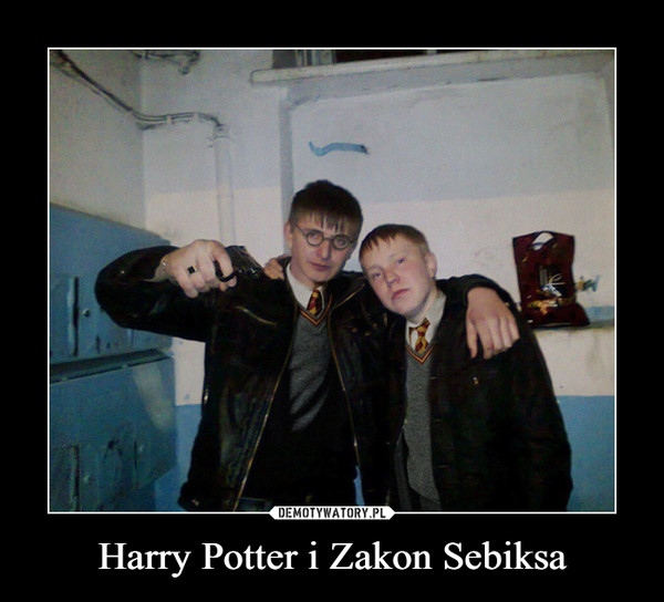 Harry Potter i Zakon Sebiksa –  