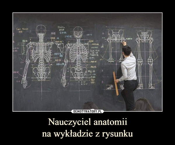 Nauczyciel anatomiina wykładzie z rysunku –  