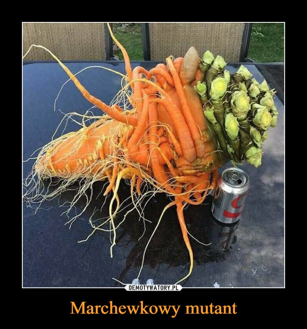 Marchewkowy mutant