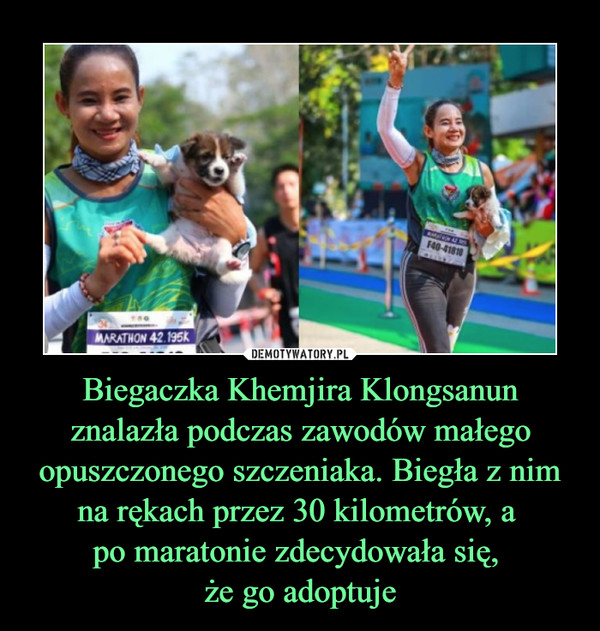 Biegaczka Khemjira Klongsanun znalazła podczas zawodów małego opuszczonego szczeniaka. Biegła z nim na rękach przez 30 kilometrów, a po maratonie zdecydowała się, że go adoptuje –  
