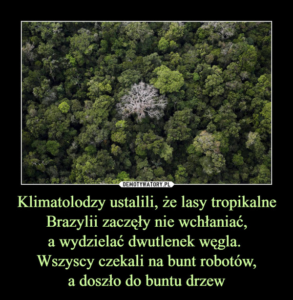 Klimatolodzy ustalili, że lasy tropikalne Brazylii zaczęły nie wchłaniać,
a wydzielać dwutlenek węgla. 
Wszyscy czekali na bunt robotów,
a doszło do buntu drzew