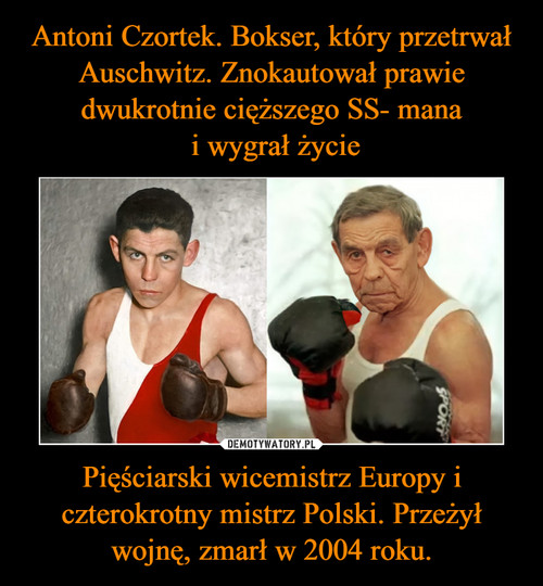 Antoni Czortek. Bokser, który przetrwał Auschwitz. Znokautował prawie dwukrotnie cięższego SS- mana
 i wygrał życie Pięściarski wicemistrz Europy i czterokrotny mistrz Polski. Przeżył wojnę, zmarł w 2004 roku.