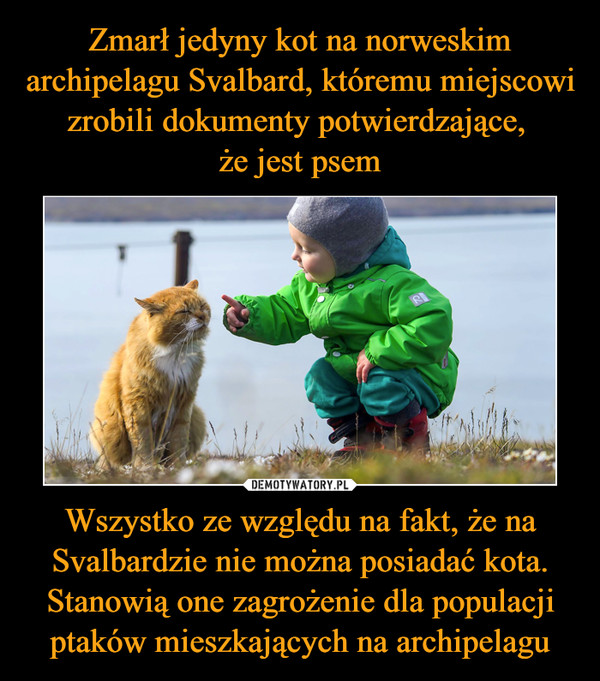 Wszystko ze względu na fakt, że na Svalbardzie nie można posiadać kota. Stanowią one zagrożenie dla populacji ptaków mieszkających na archipelagu –  