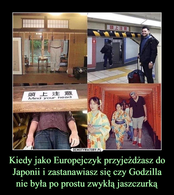 Kiedy jako Europejczyk przyjeżdżasz do Japonii i zastanawiasz się czy Godzilla nie była po prostu zwykłą jaszczurką –  