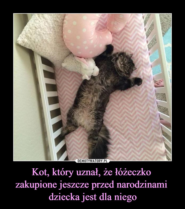 Kot, który uznał, że łóżeczko zakupione jeszcze przed narodzinami dziecka jest dla niego –  