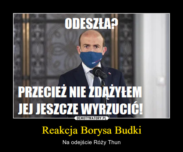 Reakcja Borysa Budki