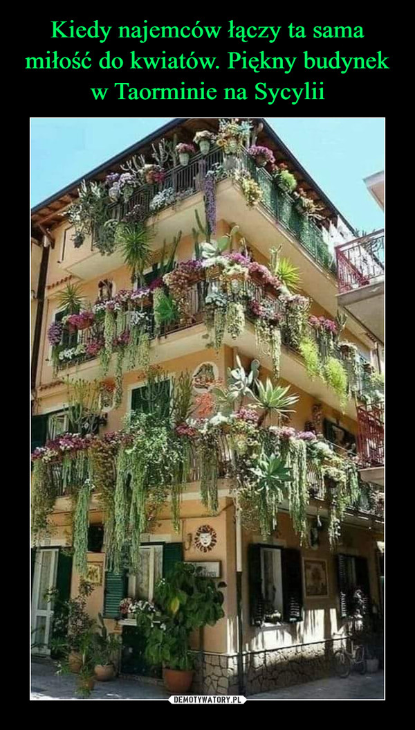 Kiedy najemców łączy ta sama miłość do kwiatów. Piękny budynek w Taorminie na Sycylii