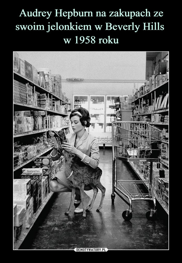 Audrey Hepburn na zakupach ze swoim jelonkiem w Beverly Hills 
w 1958 roku