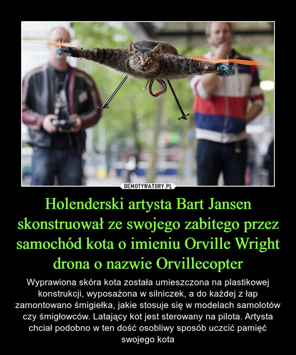 Holenderski artysta Bart Jansen skonstruował ze swojego zabitego przez samochód kota o imieniu Orville Wright drona o nazwie Orvillecopter